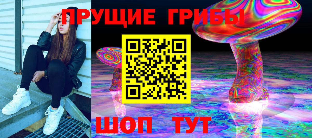 Псилоцибиновые грибы прущие грибы Заречный