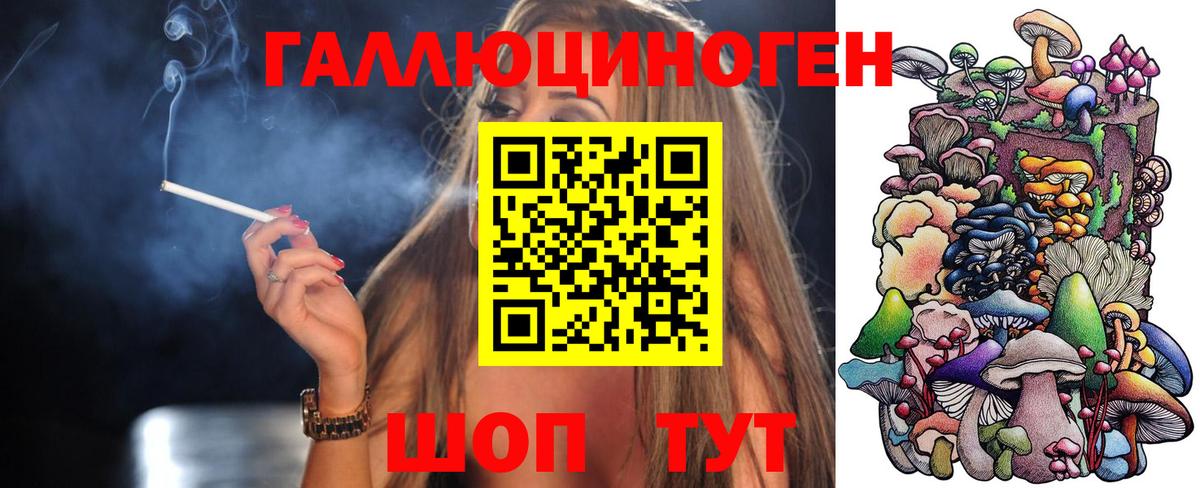 Псилоцибиновые грибы MAGIC MUSHROOMS  Вход с VPN  Заречный 